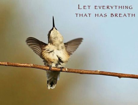 Let everything that has breath, Praise the Lord