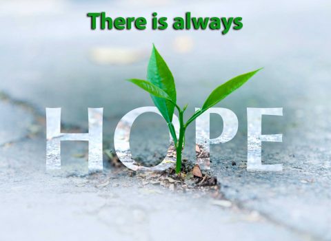 Is there any hope? There is always hope!