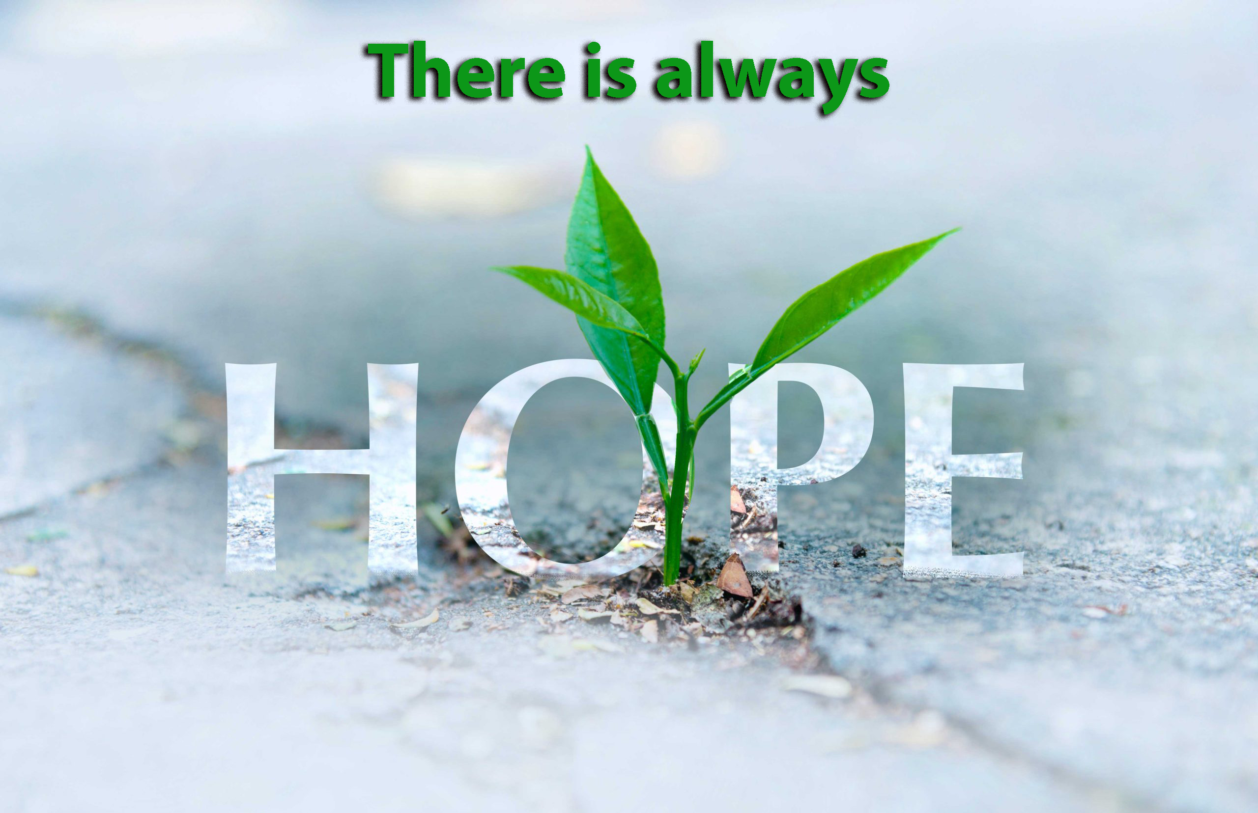 Is there any hope? There is always hope!
