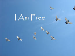I am Free by Matt Vangura