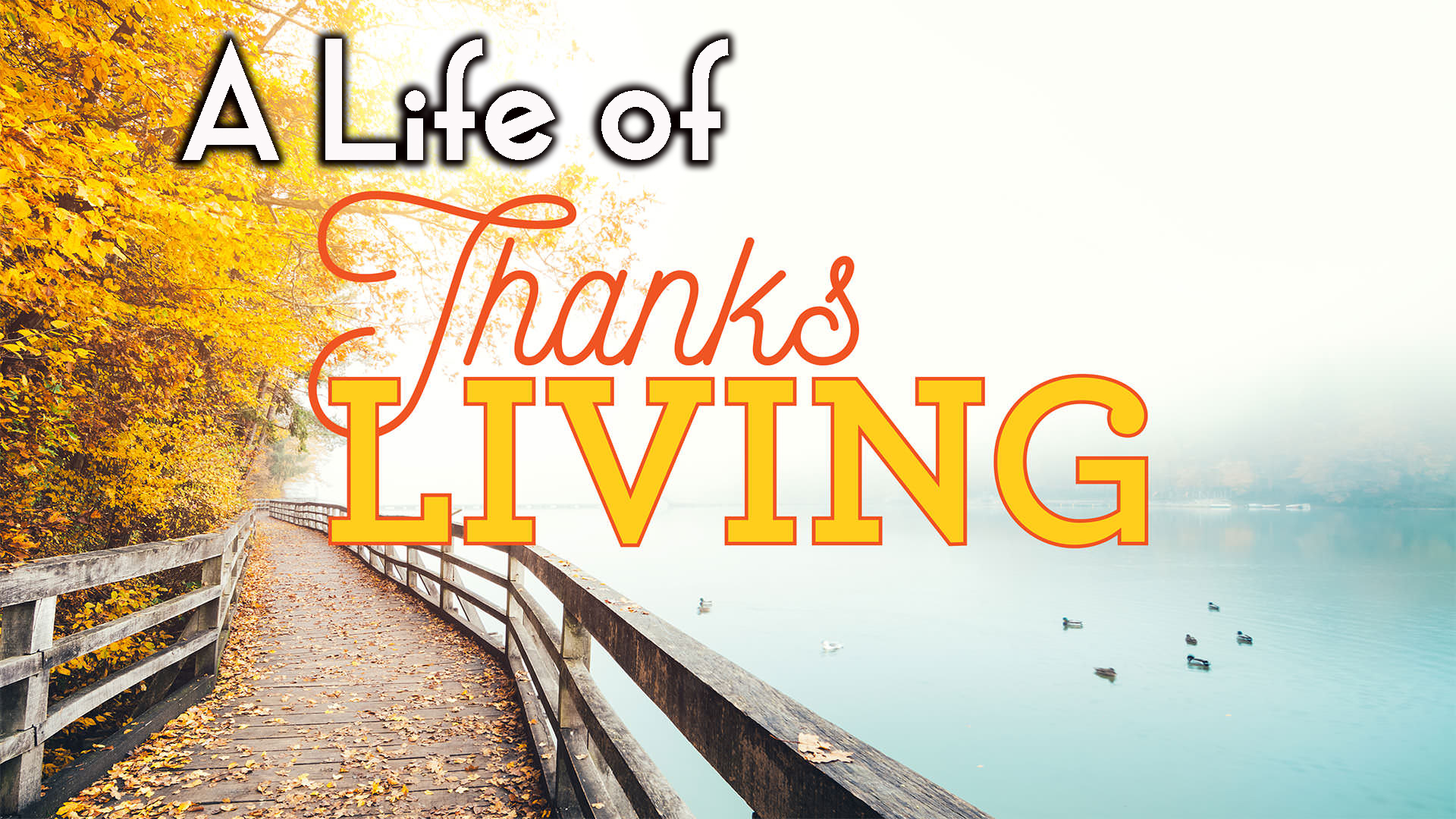 A Life of “Thanks-living”