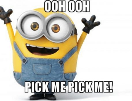 Pick me! Pick me!