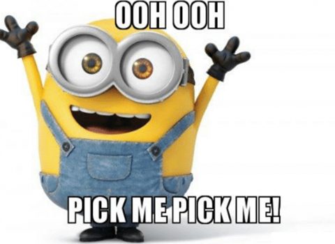 Pick me! Pick me!