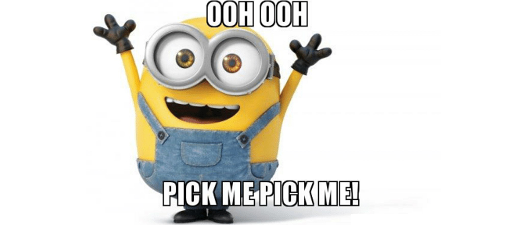 Pick me! Pick me!