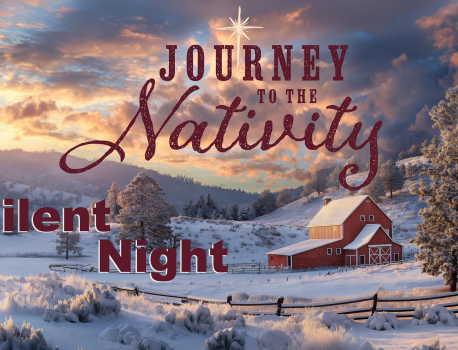 Silent Night: finding peace in a noisy world